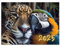 2025 Calendar- Wall Calendar 2025, Jan.2025 - Dec.2025, Monthly Calendar 28x21cm, Spiral Bound Wall Planner Calendar, Twin-Wire Binding, Hanging Hook,12 Different Patterns (Animal)