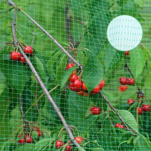 Rete di Protezione per Uccelli, 6x10m Rete da Giardino, Rete Anti Piccioni, Rete Anti Uccelli, Rete per Giardino, Rete Protettiva da Giardino, per Piante Frutta Stagni Verdura Laghetto, Verde