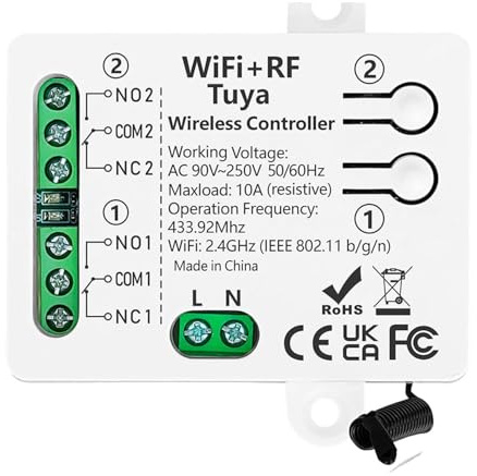 DOMO-MATIC Kit Interruptor Inteligente WiFi RF 2 Mandos a Distancia Módulo Relé Inalámbrico 2 Canales 220v 7-48vdc 10A Compatible con Alexa Google Home Tuya (1 receptor 2 canales 220V)