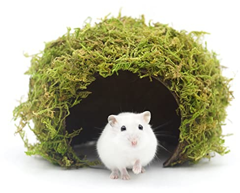 SanmooAio Hamster Hideout - Large, Natural Moss, Handcrafted for Syrian Hamsters, Rats & Guinea Pigs, Safe & Eco-Friendly