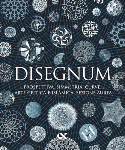 Disegnum. Prospettiva, simmetria, curve, arte celtica e islamica, sezione aurea