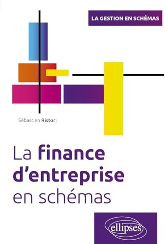 La finance d'entreprise en schémas