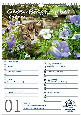 Geburtstagsplaner Geburtstagskalender Katzenzauber DIN A3 Kalender Katzen und Katzenbabys - Seelenzauber