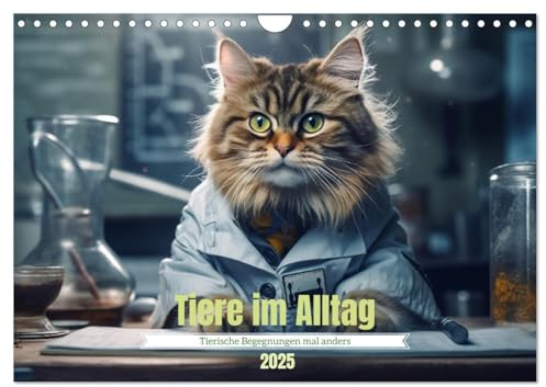 Tiere im Alltag (Wandkalender 2025 DIN A4 quer), CALVENDO Monatskalender