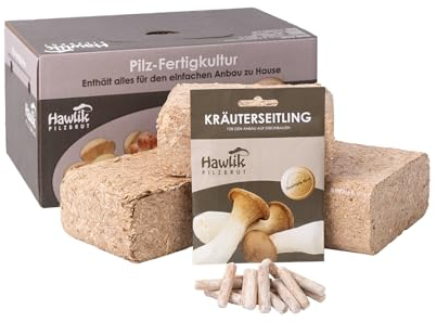 Hawlik Pilzbrut - Kit de champignon pleurote de panicaut - Facile à cultiver soi-même dans votre jardin - kit champignons à faire pousser - idéal pour le jardin