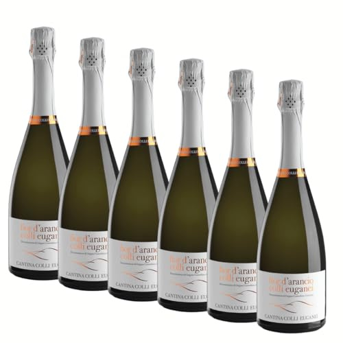 Fior d’Arancio Colli Euganei Spumante DOCG | Cantina Colli Euganei | Idea Regalo | 6 bottiglie da 0,75L