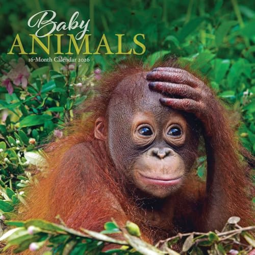 Baby Animals Calendar 2026