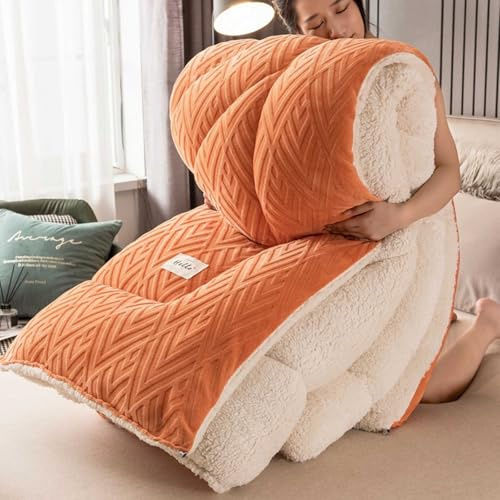 YSZBD Couverture Hiver Chaude Couette Hiver 220x240 TrèS Chaude Edredon Gonflant Duvet Plume Couette en Laine d'agneau(#1,200x230cm-3kg)