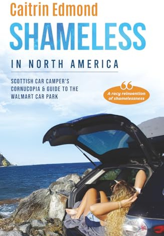 Shameless in North America: A Scottish car camper’s cornucopia and guide to the Walmart car park