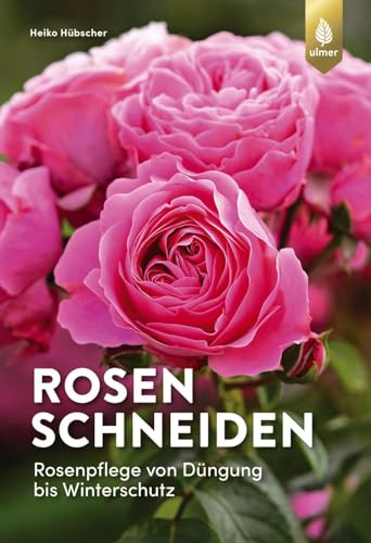 Rosen schneiden: Rosenpflege von Düngung bis Winterschutz