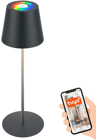 BRILONER - Lampada da tavolo a LED Smart wireless con controllo tramite app, dimmerabile, RGB+W, lampada da comodino, lampada ricaricabile, lampada da esterno, 10,5x36 cm (LxA), antracite