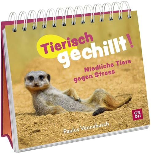 Tierisch gechillt!: Niedliche Tiere gegen Stress | Gute Laune Sprüche gepaart mit süßen Tierfotos | Lustiges anti-Stress-Geschenk für Freunde und Kollegen