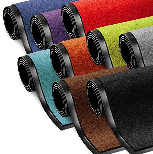 etm Schmutzfangmatte ColorLine | Türmatte in vielen Größen | Fußmatte für Innenbereich | Rutschfester Teppich für Flur, Haustür, Eingang, Eingangsbereich, Vorzimmer - Hellgrün 90x120 cm