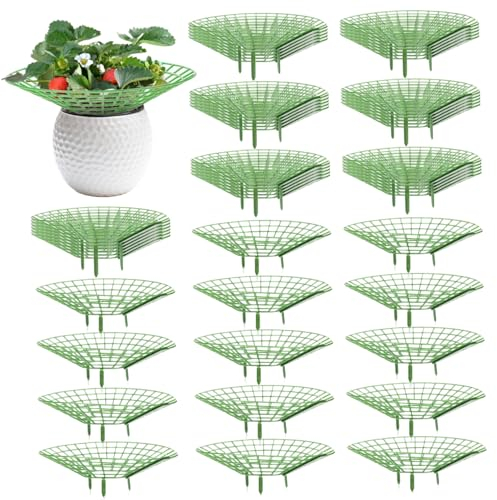 50pcs Erdbeer-Pflanzer-Kunststoff-Erdbeer-Topf mit 3 robusten beingrünen Erdbeerstützen, die die Pflanze sauber und nicht verschnittene Erdbeer-Rack-Rahmen für Gemüsegarten Obstgarten aufnehmen