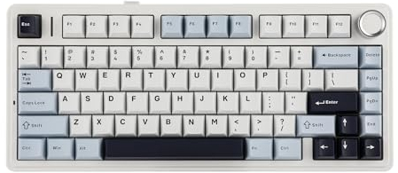 EPOMAKER x Aula F75 Gasket Mechanische Tastatur, 75% Hot swap-fühige Gaming-Tastatur mit Fünf-Schicht-Polsterung&Knopf, Bluetooth/Wireless/USB-C, RGB (Light Blue, Ice Vein Switch)