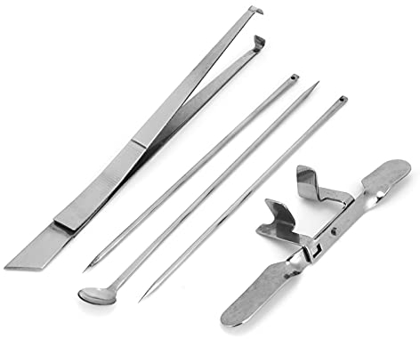 Blantye 5pcs Capon Coltello Strumento in Acciaio Inox Kit di pollame Aziende di pollame Strumento Veterinario per Pollo