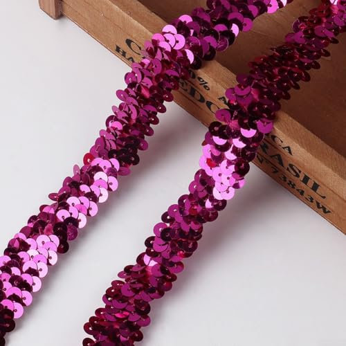 Elastisches Pailletten-Gurtband, 20 mm, tolle Option für Modeartikel wie Kleider oder handgefertigte Bastelarbeiten (9,1 m #18)