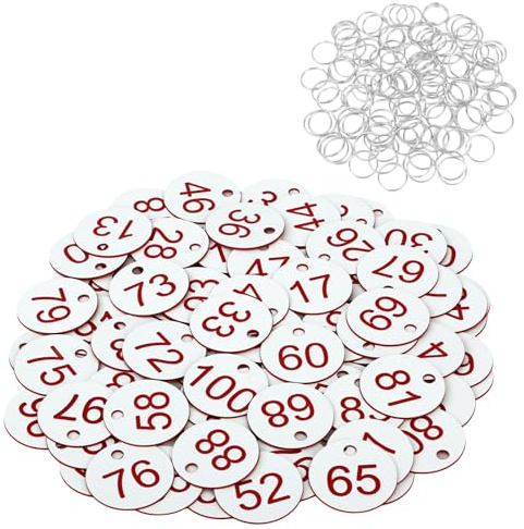 Flintronic Portachiavi Numerati, Targhette Numerate in Plastica, 100 Pezzi
