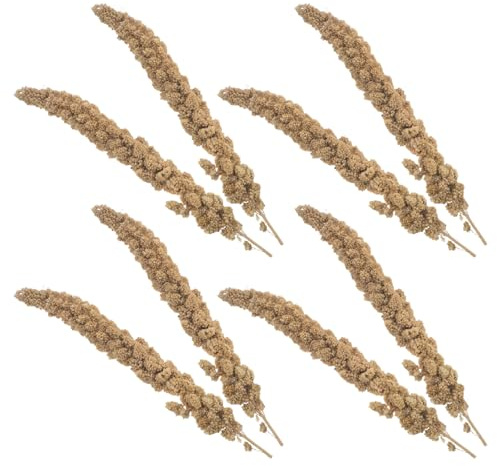 TOGEVAL Getrocknete Hirse Leckerli für Wellensittiche Nymphensittiche und Hamster Natürlicher Vogelsnack 500g mit Wichtigen Nährstoffen für Vitalität und Gefiederpflege