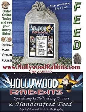 Hollywood Rabbit Feed
