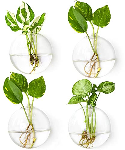 Ivolador Terrarium-Behälter, Blumen-Pflanzgefäß, Vase, zum Aufhängen, Glas, perfekt für die Vermehrung von Hydrokulturpflanzen, Haus, Garten, Kugel, Hochzeitsdekoration, 12 cm, 2 Stück