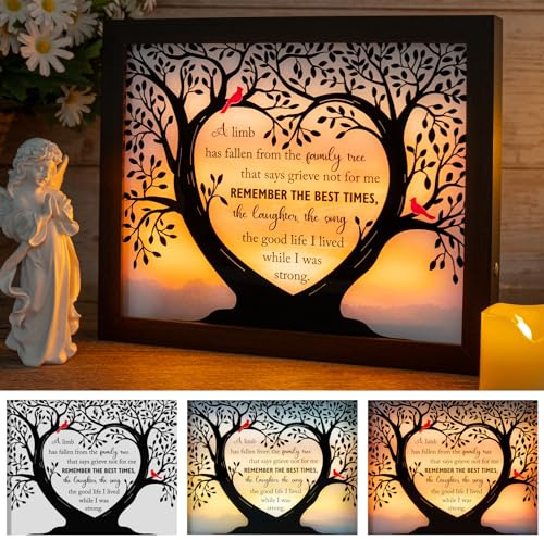 HN HAIINAA Sympathy Gift LED Memorial Shadow Box Memorial Gifts for Loss of Loved One Mother Mom Dad Father, in Memory of Loved One Gifts