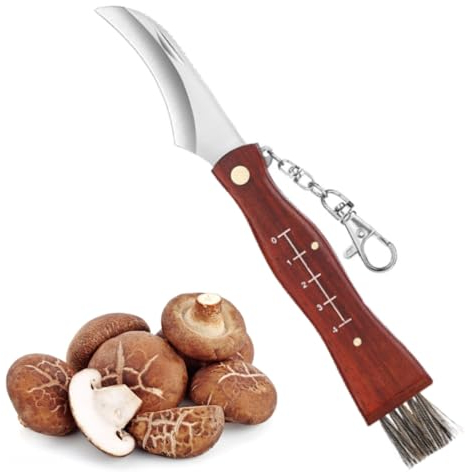 DEXYZZY Schwammerlmesser für Pilzsammler, Schwammerlmesser mit Pinsel, Taschenmesser Klappmesser Outdoor mit Holzgriff, Pilzbürste mit Wildschweinborsten, Kleines