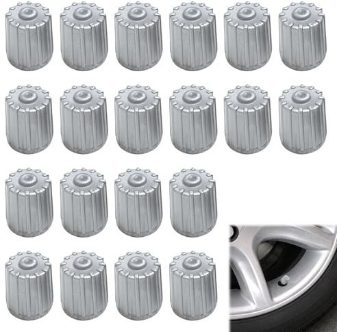 20PCS Ventilkappen UV-beständig,Autoventil Kappe Hohe Luftdichtigkeit,Wasser & staubdicht Autoreifen Ventilkappen für Autos Motorräder Fahrräder Und Elektrofahrzeuge