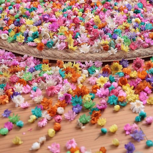 Yufana 280 Stycken Små Torkade Blommor - Dekorativa Torkade Blommor för Små Hartser, Lämpliga för Att Göra Ljus - Hantverksdekorationer, Heminredning (Färg)
