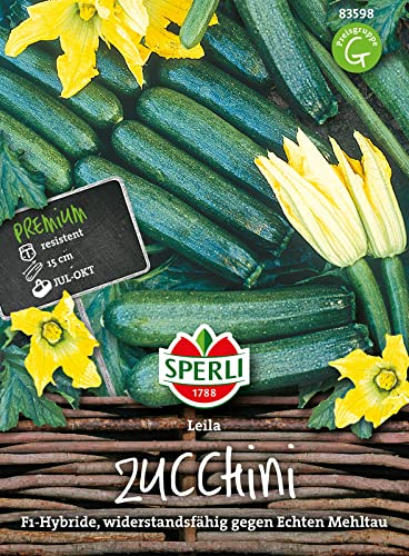 83598 Sperli Premium Zucchini Samen Leila | Zucchini Saatgut | Zuchini Samen | Samen Zucchini | Lange Ernte | Zuchini Saatgut | F1
