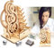 Solar 3D Wooden Puzzle Marble Run Educational Wood Mechanical Building Toys STEM Science Experiments Projects Birthday Gift for Adult Men Kids Age 8 10 12 14＋