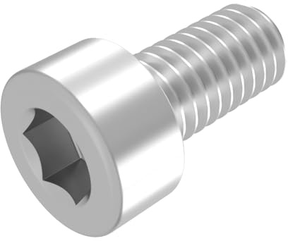SECCARO Vite cilindrica M2 x 4 mm, acciaio inox V2A A2, DIN 912 / ISO 4762, esagono interno, filettatura piena, 20 pezzi