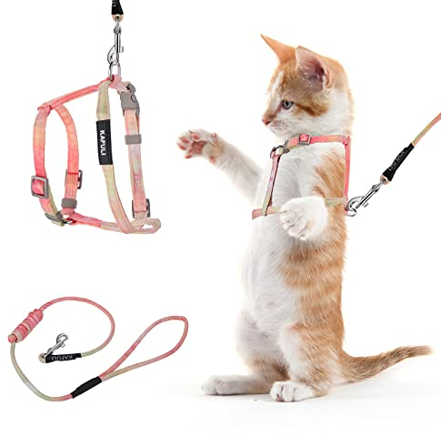 TIESOME Katzengeschirr mit Leine und Halsband Set, einstellbares Kätzchengeschirr mit Farbverlauf, ausbruchsicheres Geschirr mit Leine für Kätzchen beim Spaziergang im Freien (Orange und Gelb)