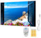 BR Bringer Bild Infrarotheizung mit Rahmen - Bildheizung mit UV Druck - 100x60x1,8cm - Sorrento, Italien