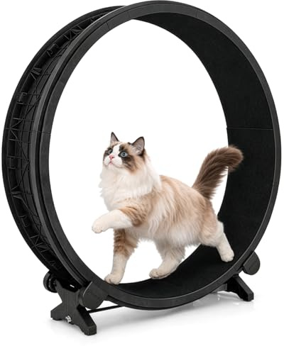 Large Cat Exercise Wheel, Indoor Pet Running Wheel for Cats & Small Pets, 48'' Quiet Cat Treadmill Alternative for Home Fitness & Play