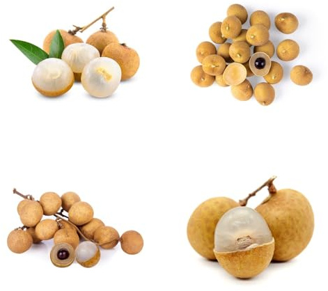 Semi di longan, da balcone Dimocarpus longan - vecchie varietà da frutto nani resistenti frutto colonnare resistente semi di balcone 40pcs