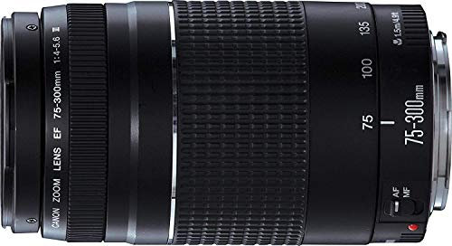 Canon EF 75–300 mm 75–300 mm f/4–5.6 III Objectif