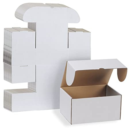 RLAVBL Boite Carton Expédition 20.3x15.3x10.2 cm, Lot de 25 Boites Carton en Blanche