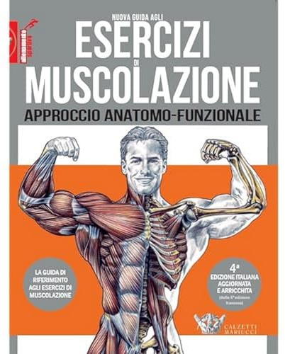 Nuova guida agli esercizi di muscolazione
