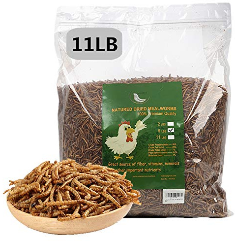 HANDPOINT 11 lbs Dried Mealworms, 100% Non-GMO Natural High-Protein,Treats for Chicken, Fish, Bird Food(11LB)