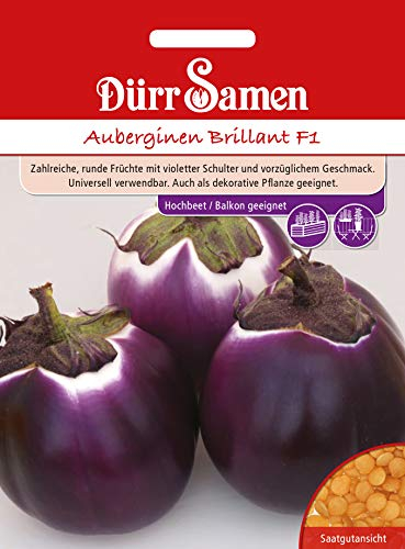 Dürr Samen 4439 Auberginen Brillant F1 Auberginensamen