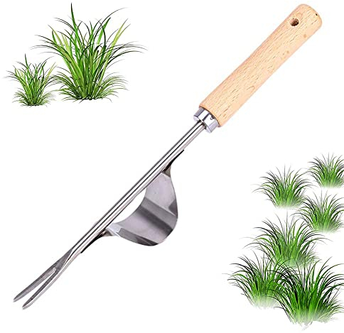 sinzau Edelstahl Unkrautstecher, Hand Weeder Werkzeug Gartengerät, Unkrautjäter Gartenarbeit Gabel mit Holzgriff für Graben, Jäten, Lösen, 32cm Lang