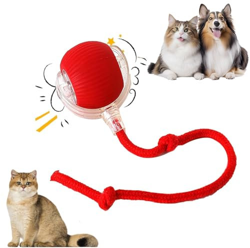 weiclianhp Katzen Spielzeug Kitten,Interaktives Kätzchenball Spielzeug USB aufladbar, DREI Betriebsmodi, 360° drehbar Smart Ball für Katzen und Hunde (rot)