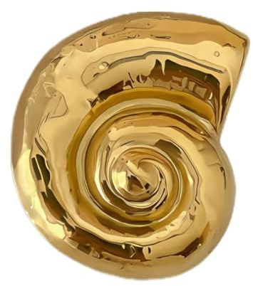 XIMEO Shell Spiral brooch Gold – Elegant Jewelry Pin, large brooches for women, Fashion Jewelry for Coats, Scarves, Hats, Bags