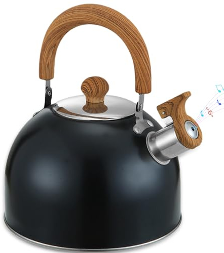 VEGOATY Bollitore a induzione: acciaio inox semicerchio piano nero, bollitore in acciaio inox, bollitore a fischio, bollitore retrò bollitore per la cucina, la casa e il campeggio