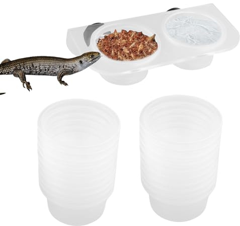 Plato De Comida Para Reptiles - Bebedero Magnético Para Reptiles, Plato De Alimentación Para Lagartos Con Montaje Magnético | Guardián De Golosinas Fácil De Limpiar Para Decoración De Terrario De Cang