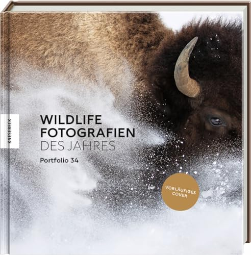 Wildlife Fotografien des Jahres - Portfolio 34