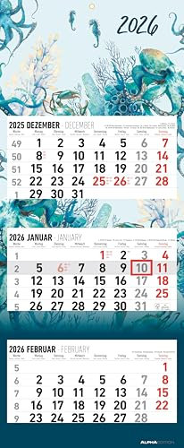 Alpha Edition - 3-Monatskalender Design 2026 – Wandkalender 33 x 80cm mit 3 Monaten im Überblick & Datumsschieber, faltbarer Büro- & Organisationskalender für Homeoffice, Arbeit & Termine