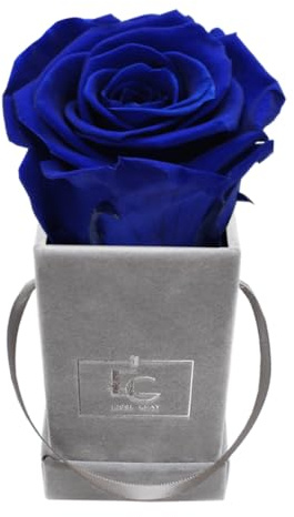 Emmie Gray Classic Infinity Rose | Velvet Grey | Fyrkantig blomlåda – Infinity rosor i grå sammetslåda – 1–3 års hållbarhet – riktiga rosor som blommar i flera år (Ocean Blue)