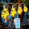 Solar Lichterkette Aussen Mit 20 Glühbirnen IP65, 8 Modi Solar Lichterkette Außen Wetterfest Warmweiß, Vintage Solarlichterketten mit Hanfseil Outdoor für Garten, Party,Balkon Deko,Terrassen Deko